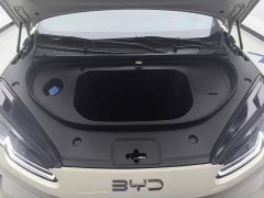 BYD Dolphin 06 EV 545KM Deluxe Edition - ფოტო 10