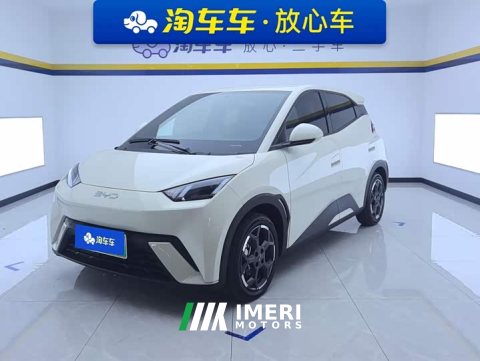 2025 BYD Seagull 305km Freedom Edition - ავტომობილი ჩინეთიდან