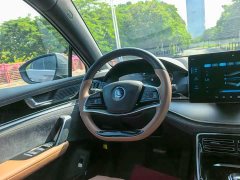 BYD Yuan Plus DM-i 2021 112KM Premium Edition - ფოტო 7
