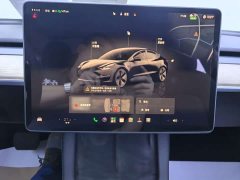 Tesla Model 3 2022 Rear-Wheel Drive - ფოტო 6
