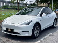 Tesla Model Y Long Range All-Wheel Drive - ფოტო 1