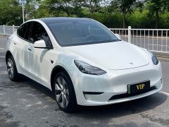 Tesla Model Y Long Range All-Wheel Drive - ფოტო 3