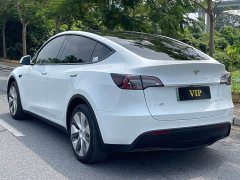 Tesla Model Y Long Range All-Wheel Drive - ფოტო 6