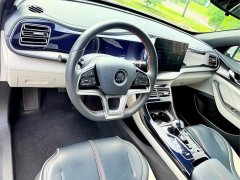 BYD Qin PLUS EV 400KM Luxury - ფოტო 10