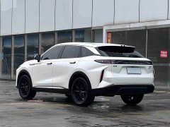 Changan Chitu Yaoguang 400T Two-Wheel Drive Comfort Edition - ფოტო 6