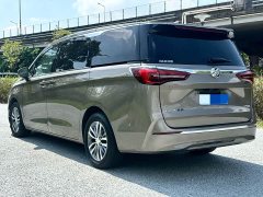 Buick GL8 ES Land Respect 653T Respect Enjoyment Edition - ფოტო 6