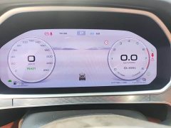 Tank 700 New Energy Hi4-T Ultimate Edition - ფოტო 6