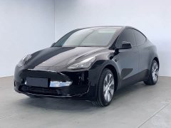Tesla Model Y Rear-Wheel Drive - ფოტო 1