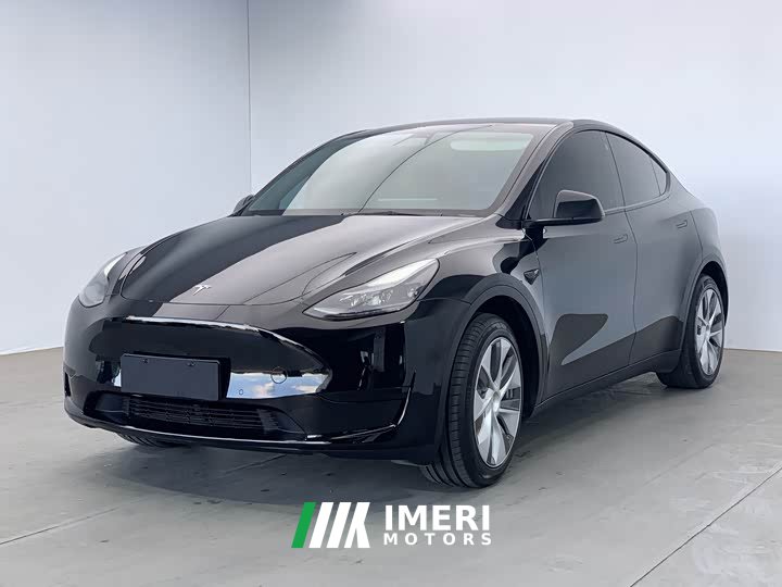 Tesla Model Y Rear-Wheel Drive