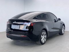 Tesla Model Y Rear-Wheel Drive - ფოტო 4