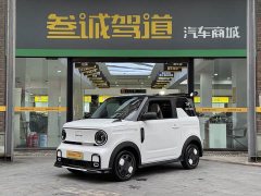 Geely Panda 210km Panda Kart - ფოტო 1