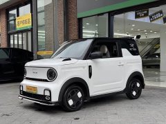 Geely Panda 210km Panda Kart - ფოტო 4