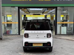 Geely Panda 210km Panda Kart - ფოტო 5