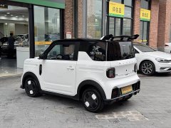 Geely Panda 210km Panda Kart - ფოტო 6