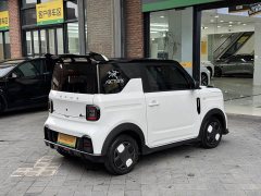 Geely Panda 210km Panda Kart - ფოტო 7