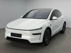 Tesla Model Y Rear-Wheel Drive - ფოტო 1