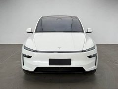 Tesla Model Y Rear-Wheel Drive - ფოტო 2