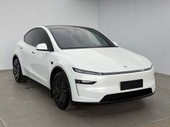 Tesla Model Y Rear-Wheel Drive - ფოტო 3