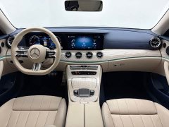 Mercedes-Benz E-Class (Imported) E 260 Coupe - ფოტო 11