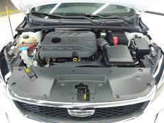 Geely Binrui 1.4T CVT Asian Games Edition - ფოტო 10