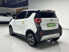 Chery Ant 150,000 Ant Fan Edition Cool Version LFP Battery - ფოტო 8