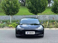 Tesla Model 3 Standard Range RWD Upgrade 3D6 - ფოტო 3