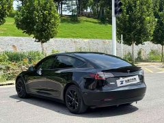 Tesla Model 3 Standard Range RWD Upgrade 3D6 - ფოტო 7
