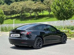 Tesla Model 3 Standard Range RWD Upgrade 3D6 - ფოტო 8