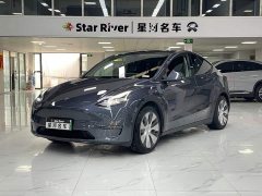 Tesla Model Y Long Range All-Wheel Drive - ფოტო 1