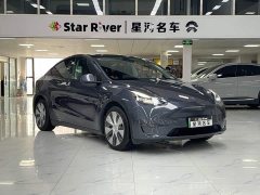 Tesla Model Y Long Range All-Wheel Drive - ფოტო 3