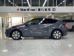 Tesla Model Y Long Range All-Wheel Drive - ფოტო 4