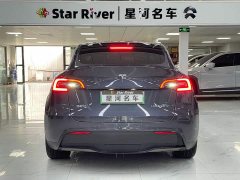 Tesla Model Y Long Range All-Wheel Drive - ფოტო 6