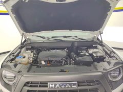 Great Wall Dachshund 2024 2.0T DCT Chinese Rural Dog Edition - ფოტო 10