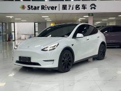 Tesla Model Y Long Range All-Wheel Drive - ფოტო 1