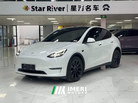 2021 Tesla Model Y Long Range All-Wheel Drive - ავტომობილი ჩინეთიდან