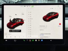 Tesla Model Y Long Range All-Wheel Drive - ფოტო 12