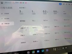 Xiaomi YU7 Four-Wheel Drive Max Edition - ფოტო 13