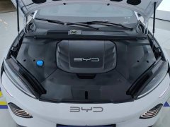 BYD Dolphin 2022 550km Standard Range RWD Luxury - ფოტო 10