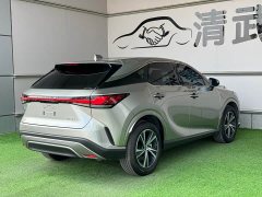 Lexus RX 300 AWD Premium Edition - ფოტო 13