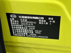 BYD Seagull Freedom Edition - ფოტო 18
