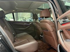 BMW 5 Series Facelift 530Li Luxury Edition Premium Package - ფოტო 11