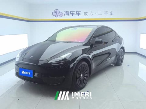 2021 Tesla Model Y Standard Range RWD - ავტომობილი ჩინეთიდან