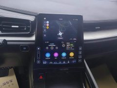 Hyundai Cosworth 2021 270TGDi Luxury Edition LUX - ფოტო 13
