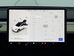 Tesla Model Y Long Range All-Wheel Drive - ფოტო 13