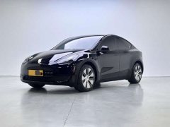 Tesla Model Y Rear-Wheel Drive - ფოტო 1