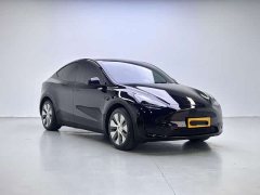 Tesla Model Y Rear-Wheel Drive - ფოტო 3
