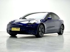 Tesla Model 3 Standard Range RWD Upgrade - ფოტო 1