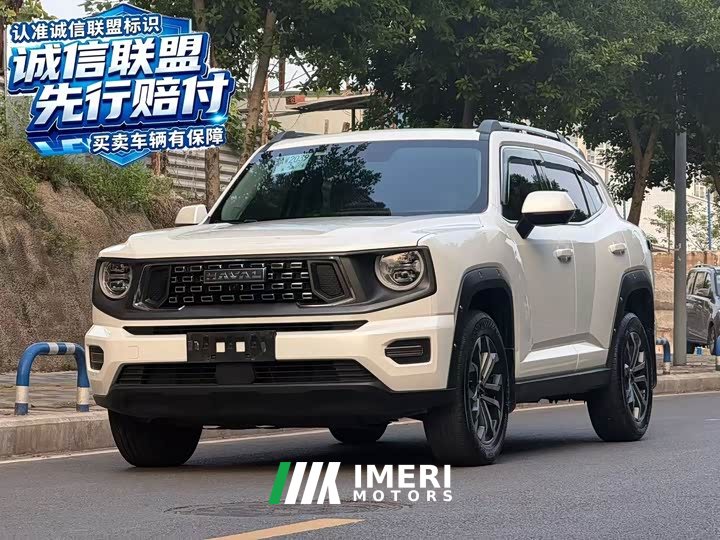 Haval Big Dog PLUS 2023 2.0T Two-Wheel Drive Trendy Wilderness Edition - ავტომობილი ჩინეთიდან