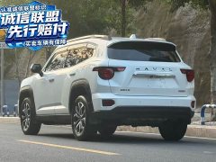 Haval Big Dog PLUS 2023 2.0T Two-Wheel Drive Trendy Wilderness Edition - ფოტო 6