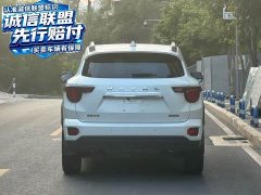 Haval Big Dog PLUS 2023 2.0T Two-Wheel Drive Trendy Wilderness Edition - ფოტო 7